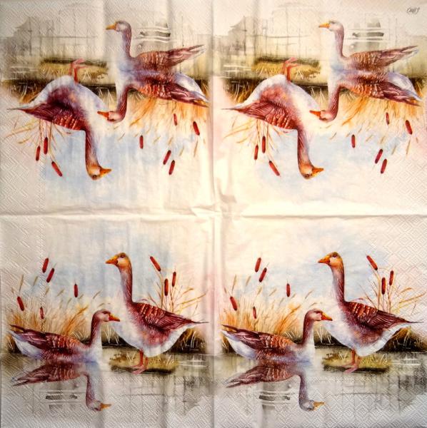 139 Ducks - 3-ply